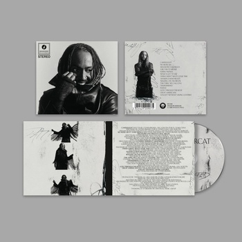 THUNDERCAT - DISTRACTED CD