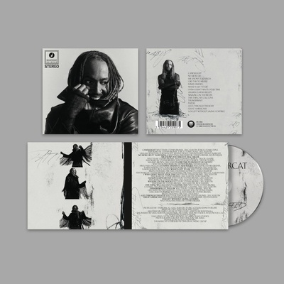 THUNDERCAT - DISTRACTED CD