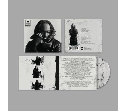 THUNDERCAT - DISTRACTED CD