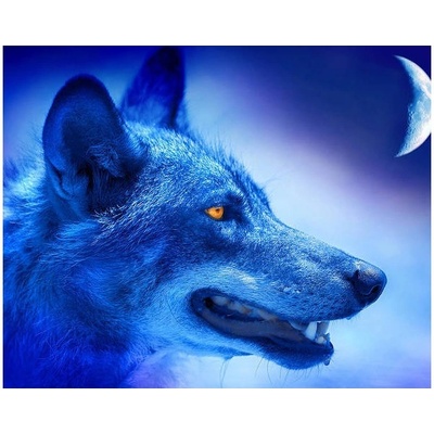 Norimpex Diamantová mozaika 5D Midnight Wolf 780416