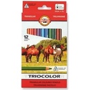 Koh i Noor 3142 Triocolor hrubé trojhranné pastelky 12 ks