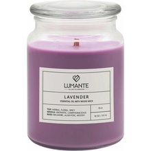 FLAGRANTE Lavender 511 g