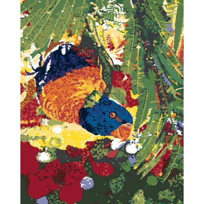 ZUTY Maľovanie podľa čísel PAPAGÁJ HLAVOU DOLE Rámovanie vypnuté plátno na rám Rozmer 80 x 100 cm