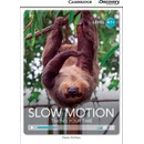 CDE 2 SLOW MOTION +ONLINE CODE