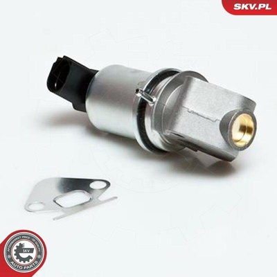 AGR-Ventil ESEN SKV 14SKV007