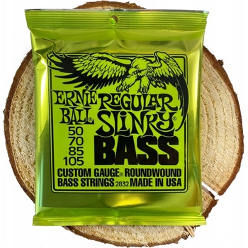 Ernie Ball 2832