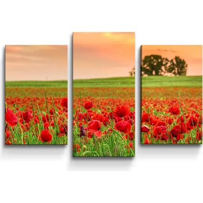 Sablio Obraz - 3-dílný Pole vlčieho maku 2 - 75x50 cm