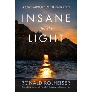 Insane for the Light (ISBN: 9780593736463)