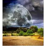 DIMEX ART Флизелинов фототапет луна 225 x 250 см