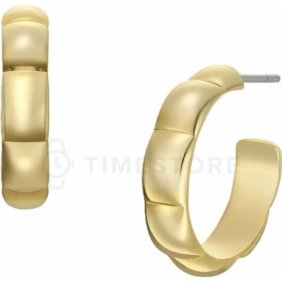 Fossil JOA00874710