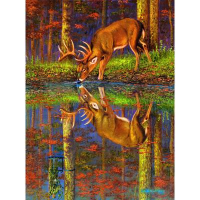 SunsOut - Puzzle What Lies Below? - 1 000 piese