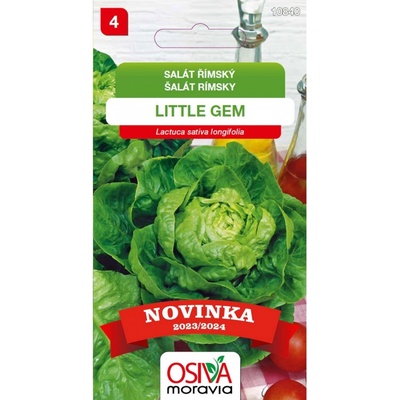 Aros Semena Salát listový Little Gem (Lactuca longifolia)