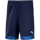 Puma Cup