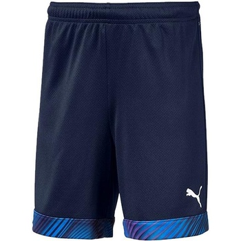 Puma Cup