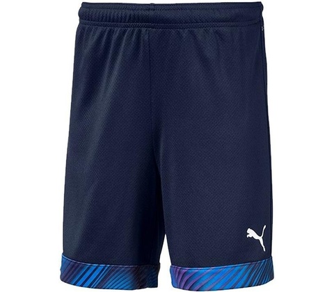 Puma Cup