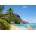 Castorland - Puzzle Tropical Beach, Seychelles - 3 000 piese