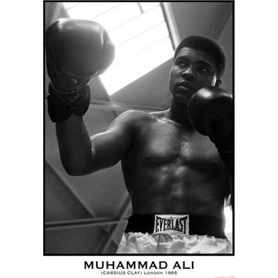 Plagát, Obraz - Muhammad Ali, 59.4 × 84.1 cm