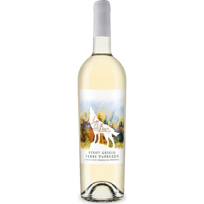 Cantina Tollo Lupo del Bosco Pinot Grigio 2025 Bílé suché 12% 0,75 l (holá láhev)