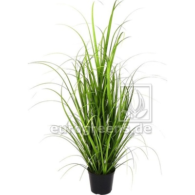 Umělá Sloní tráva v květináči, 75cm