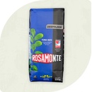 Rosamonte Yerba Maté Despalada 500 g