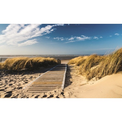 ForWall Fototapeta Beach on a sunny day vlies 104 x 70,5 cm