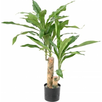 Umělá rostlina Dracena Fragrances Stud, 60cm