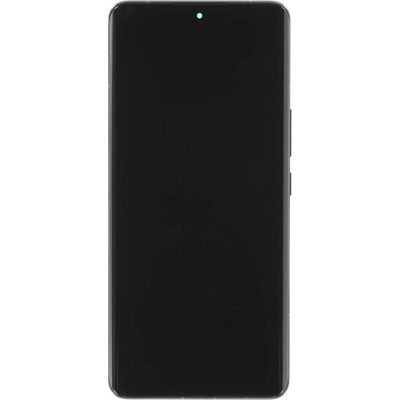 Realme (OEM) Стъкло и LCD екран за Realme 10 Pro+, оригинален (OEM), черно (21298)