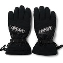 Spyder Overweb Gtx Ski glove blk/blk
