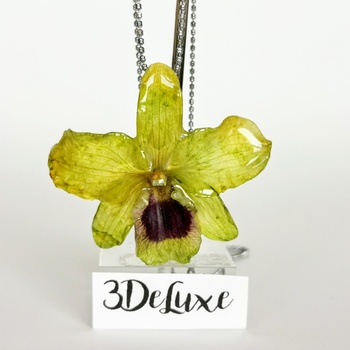 Meganflo Жълто-зелена Орхидея 3DeLuxe