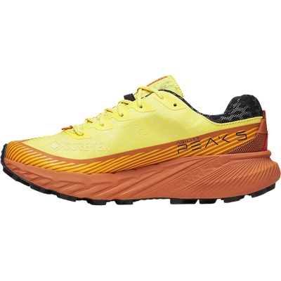 Merrell Agility Peak 5 GTX
