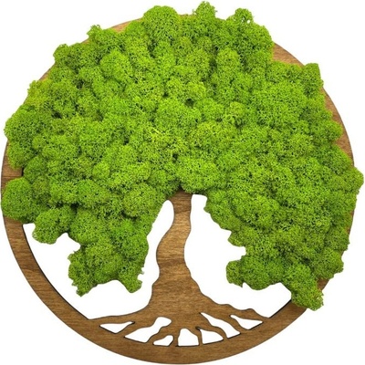Machový obraz Strom života Simple 30cm Orech