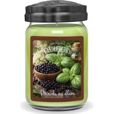 Candleberry Candle Příroda na dlani 624 g