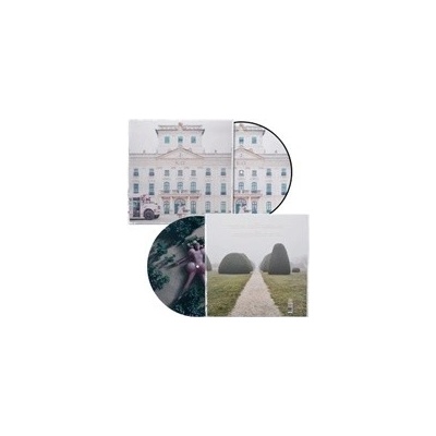 Melanie MartinEZ K-12 Limited Picture Vinyl