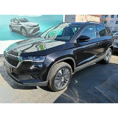 Skoda Karoq 2.0 TDI Tour 4x4 DSG 110 kW