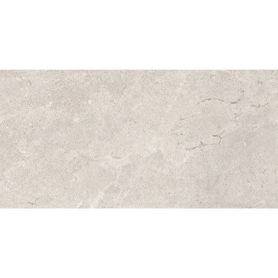 Emil Mapierre ELRX 30 x 60 cm gris ancienne mat 1,08 m²