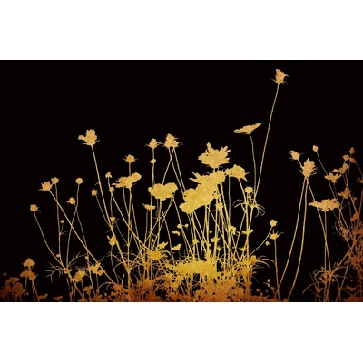 DIMEX ART Флизелинов фототапет златни цветя 375 x 250 см