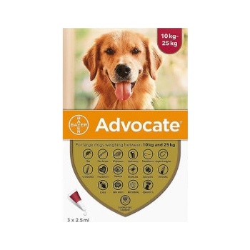 Advocate spot-on dog 10-25 kg 3 x 2,5 ml