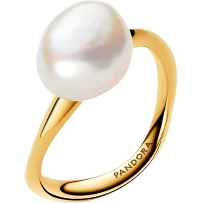Pandora 163293C01