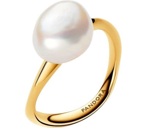 Pandora 163293C01