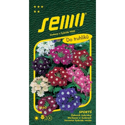 Sporýš zkřížený - verbena SM