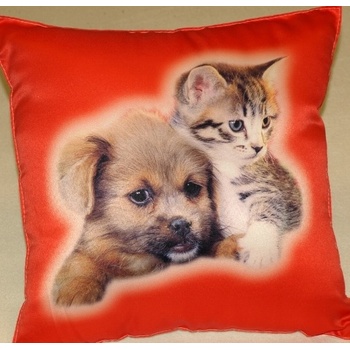 Dadka vankúš Mačiatko a pes v červenom 40x40