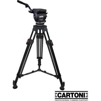 Cartoni Focus 22