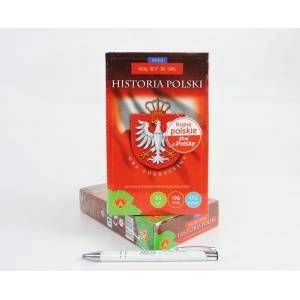 McQ by Alexander McQueen Quiz History of Poland mini ALEX