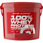 Scitec Nutrition 100% Whey Protein Professional 5000 g