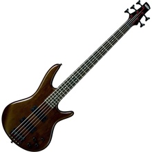 Ibanez GSR205B