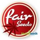 Fair Seeds Auto Critical semena neobsahují THC 3 ks