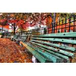 DIMEX ART Флизелинов фототапет градска пейка 375 x 250 см