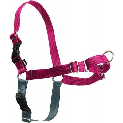 PetSafe Postroj EasySport