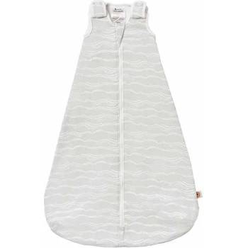 Ergobaby Класическо чувалче за сън Ergobaby - Silver Wave, 0-6 месеца, Tog 2.5 (SLBSMSLVWAVE25)