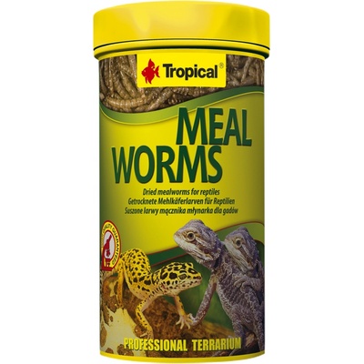 Tropical Meal Worms 100 ml